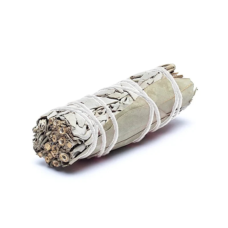 Weißer Salbei mit Eukalyptus – Natürliches Räucherbündel | 1 Stück