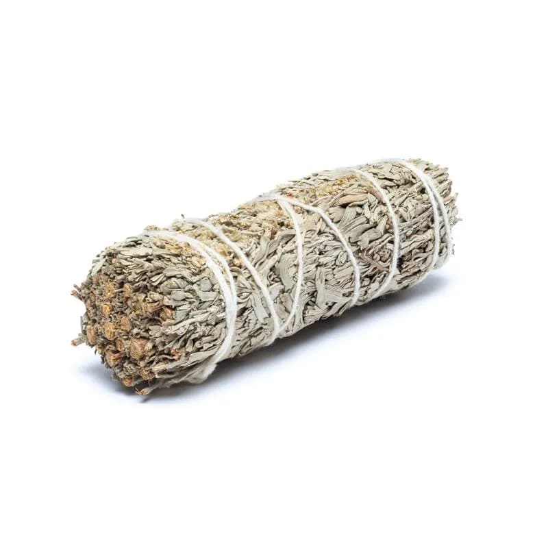 Salbei blau, Shasta Sage Smudge